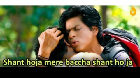 Shant hoja mera baccha shant ho ja meme