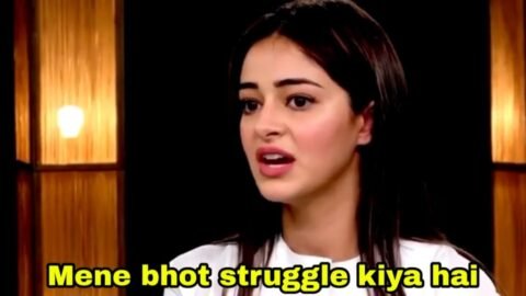 Mene bhot struggle kiya hai meme