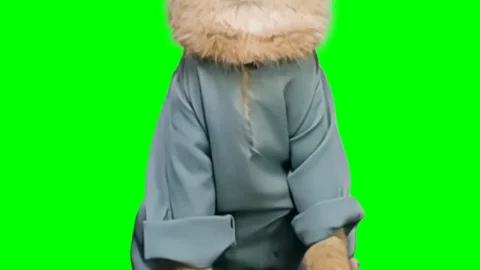 Happy Muslim Cat free green screen meme