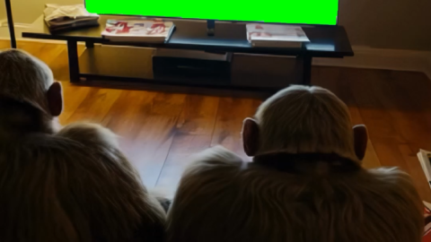 Monkeys watching TV free green screen meme