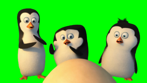 Penguins of Madagascar free green screen meme