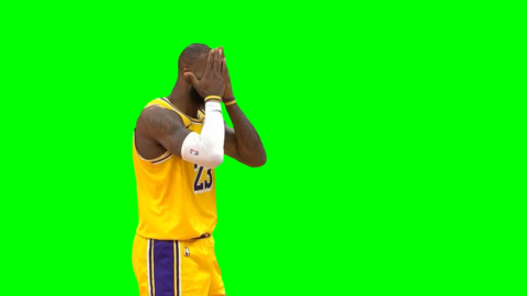 LeBron James Facepalming free green screen meme