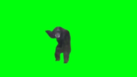 Monkey Banging Door free green screen meme