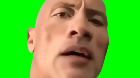 The Rock "Eyebrow Raise" free green screen meme