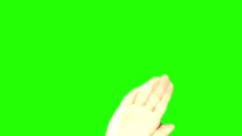 Employee Hiding Pictures free green screen meme