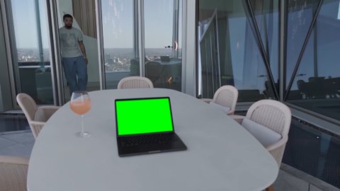 Throwing a Slipper at the Drone free green screen meme
