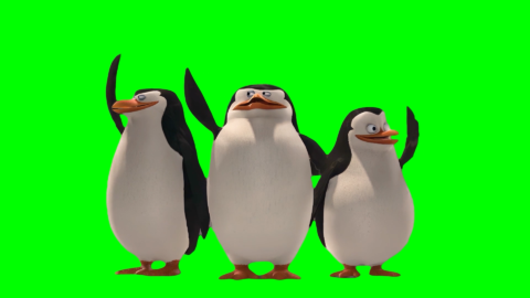 Penguin Smile and Wave free green screen meme