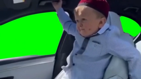 Hasbulla On The Car free green screen meme