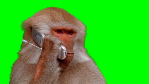 Monkey calling free green screen meme