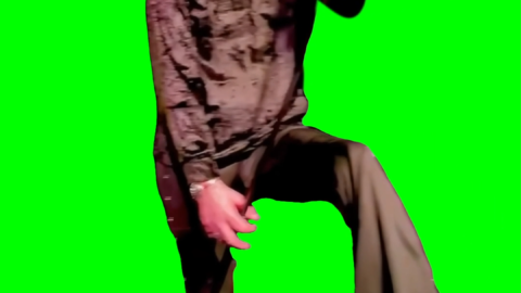 Bobby Liebling staring with his hair flying free green screen meme
