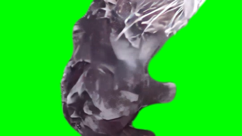 Rat Showering Itself free green screen meme