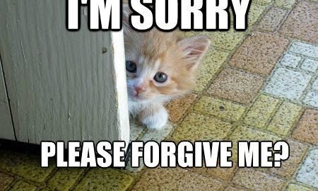 memes sorry