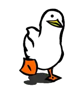 meme duck