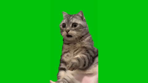 Shocking memes