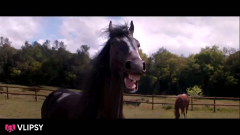 Laughing meme download