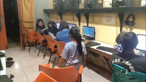 funny memes videos download