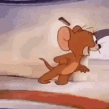 confused mouse meme