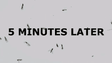 a few minutes later meme