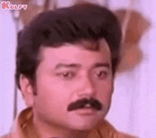 memes clip download