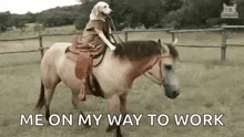 dog riding horse meme