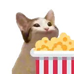 eating cat meme