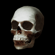 skeleton smiling meme