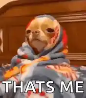 funny gif memes