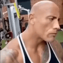 rock staring meme